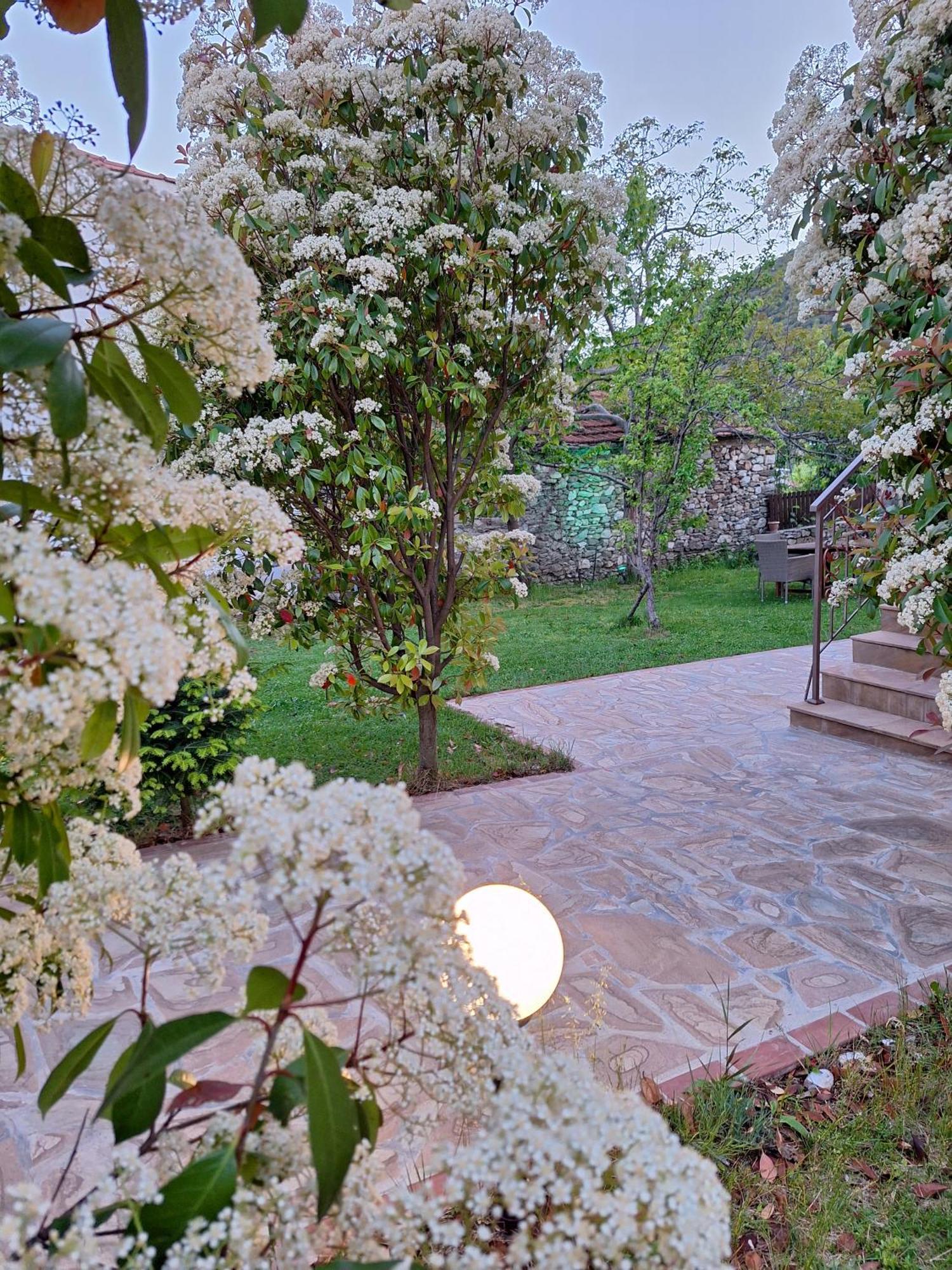 Country House On Mount Olympus Karia  Ngoại thất bức ảnh